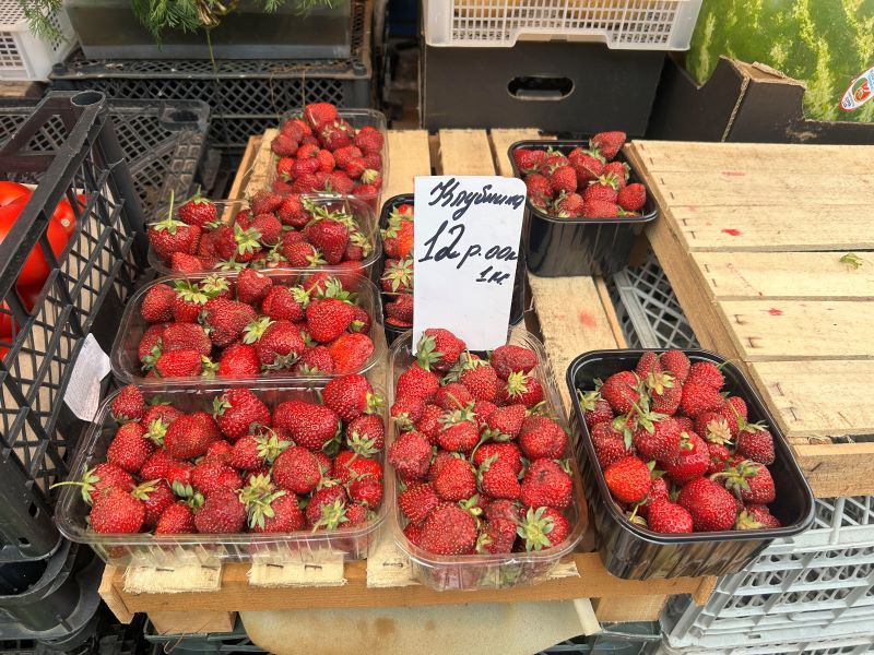 стоимость клубники в Гродно на рынке 