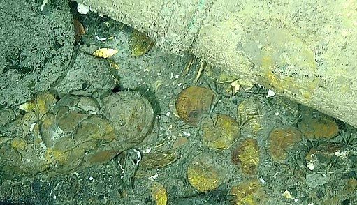 Монеты найденные на дне 