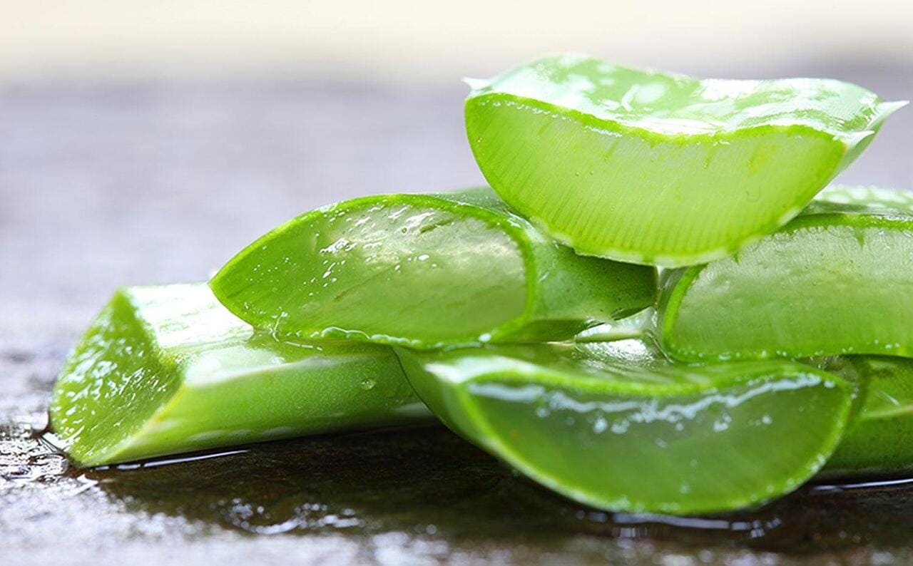 Алоэ вера