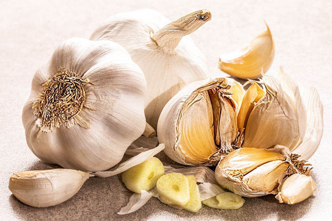 Чеснок