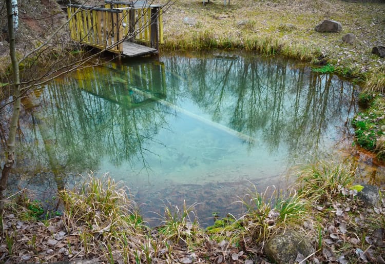 5 целебных родников