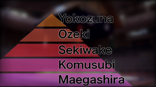 Иерархия сумо