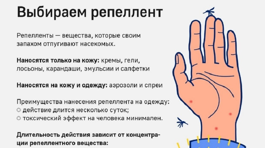 репеллент правила