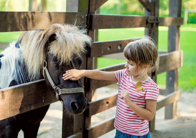 конные прогулки