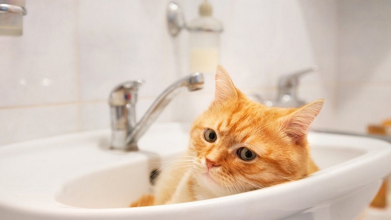 отключение воды