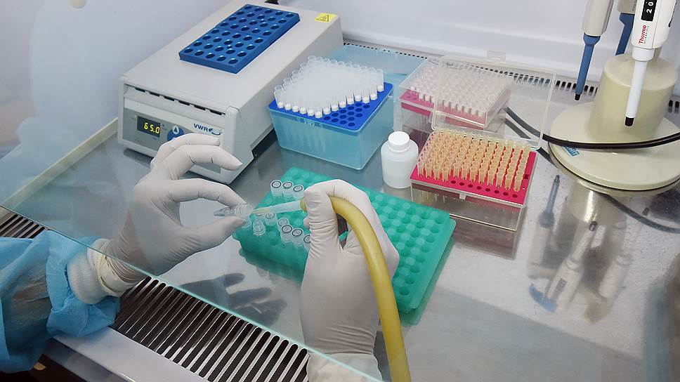 Проведение анализов 