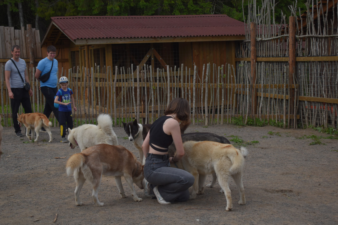 Лахденпохья Долина водопадов хаски