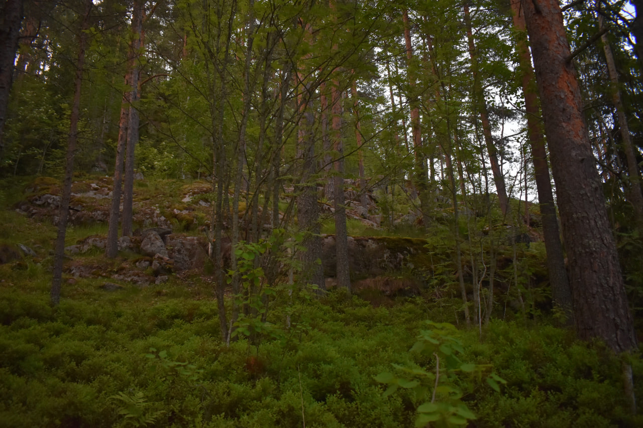 Лахденпохья Змеиная гора