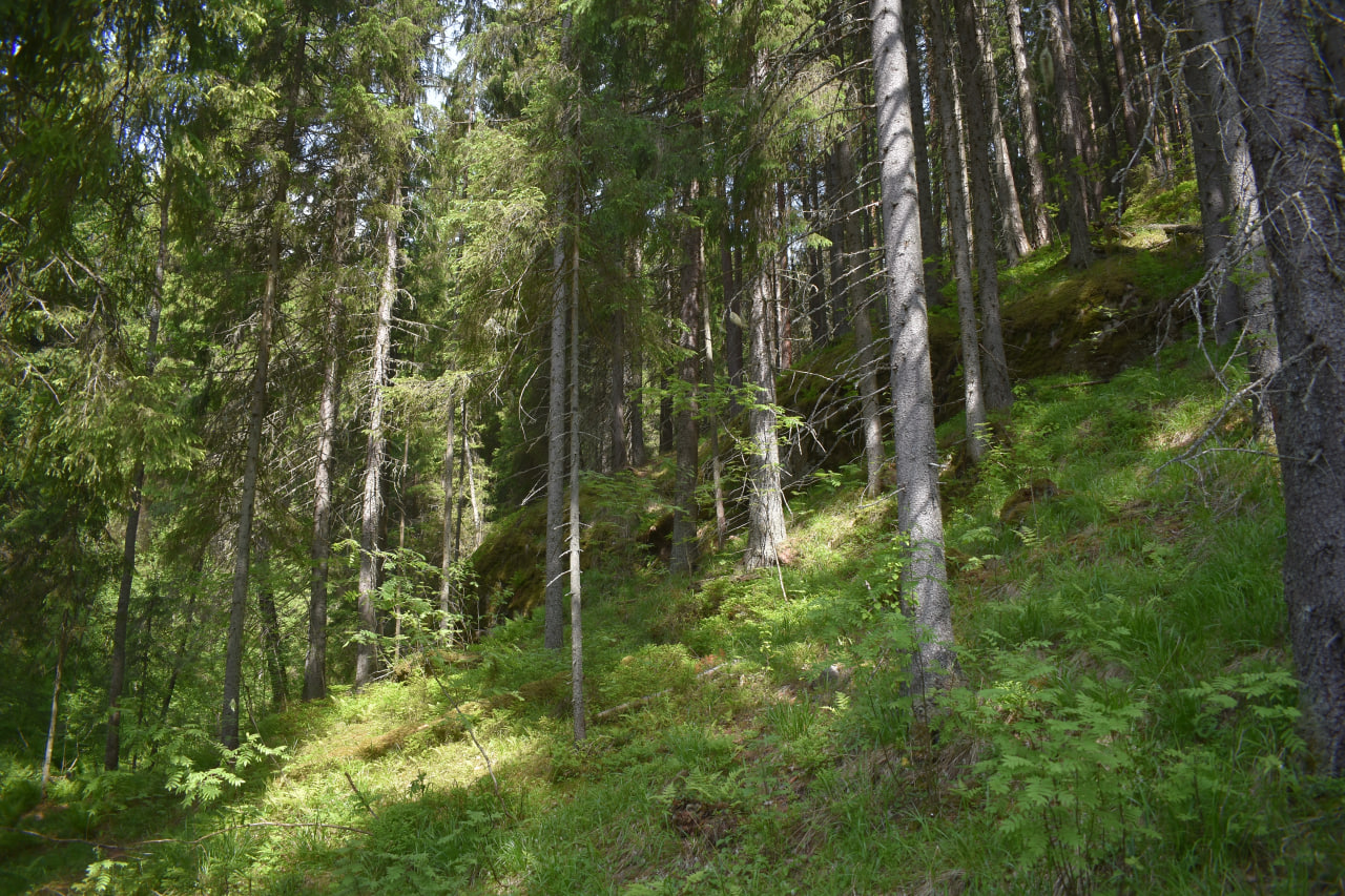Лахденпохья Долина водопадов