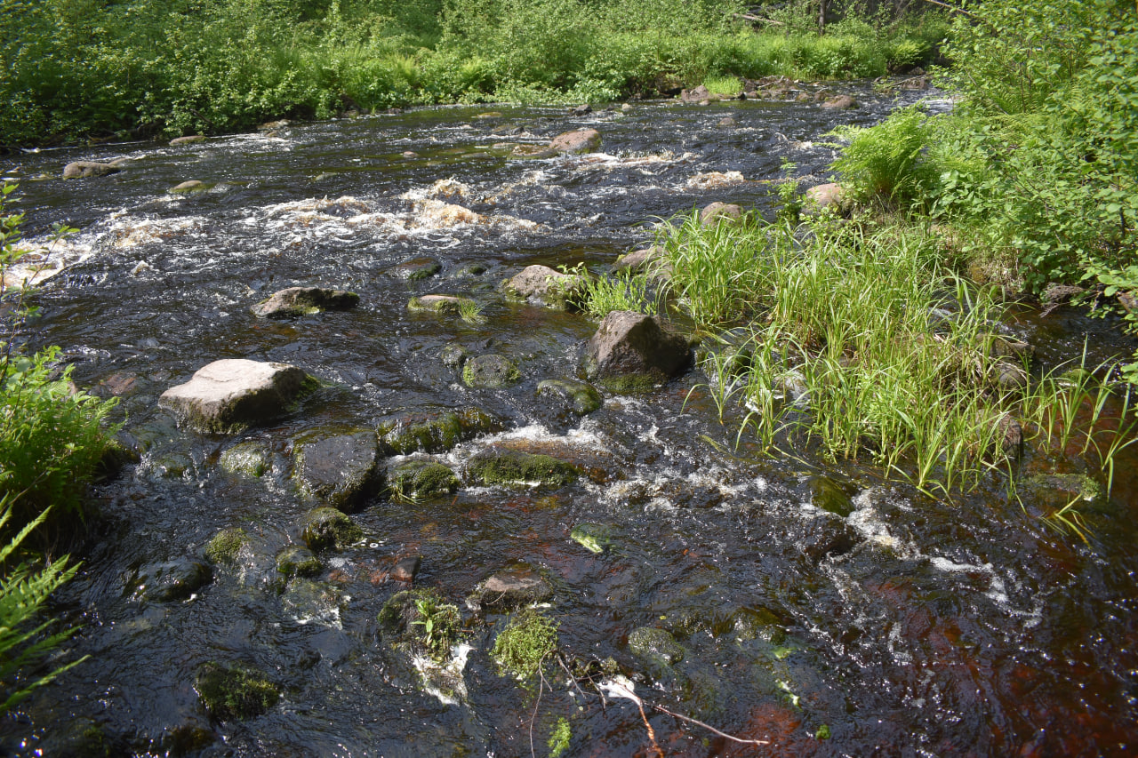 Лахденпохья Долина водопадов