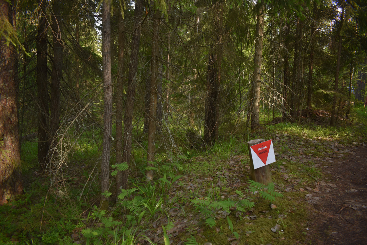 Лахденпохья Гора Филина