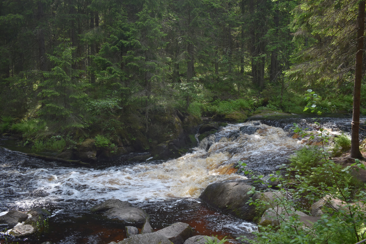 Лахденпохья Долина водопадов