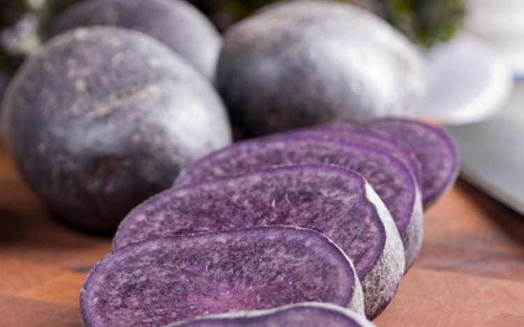 сорт "Лекарь"