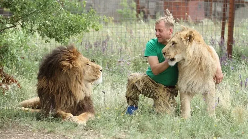 Олег Зубков с львами в парке "Тайган"