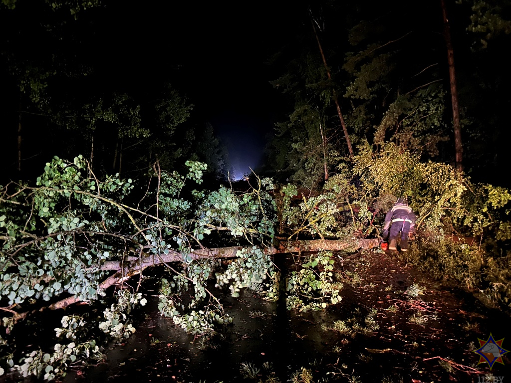 ликвидация последствий грозы