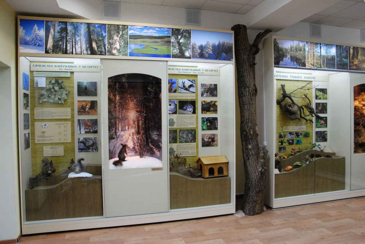 Музей белки