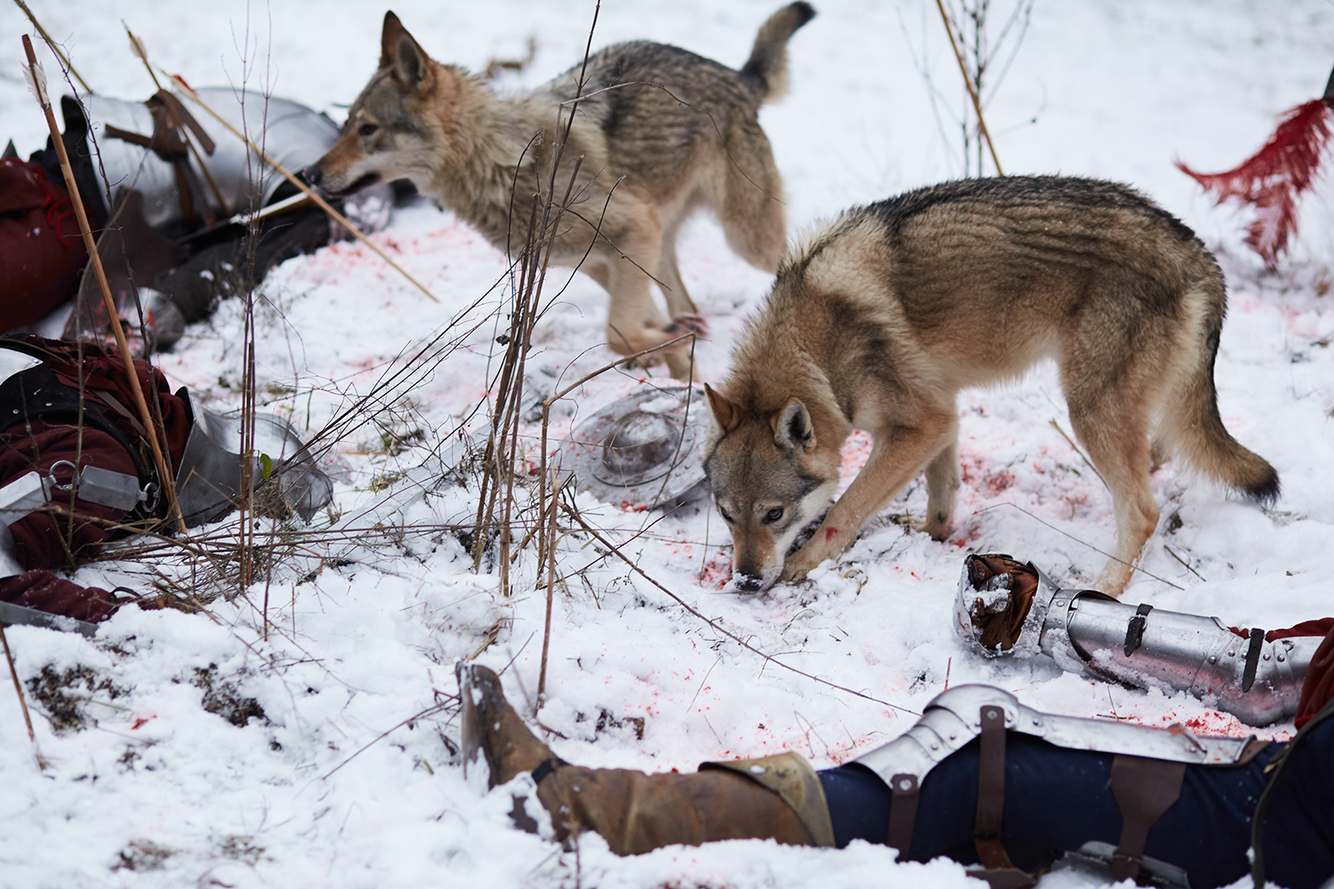 Съёмки клипа "Охота"