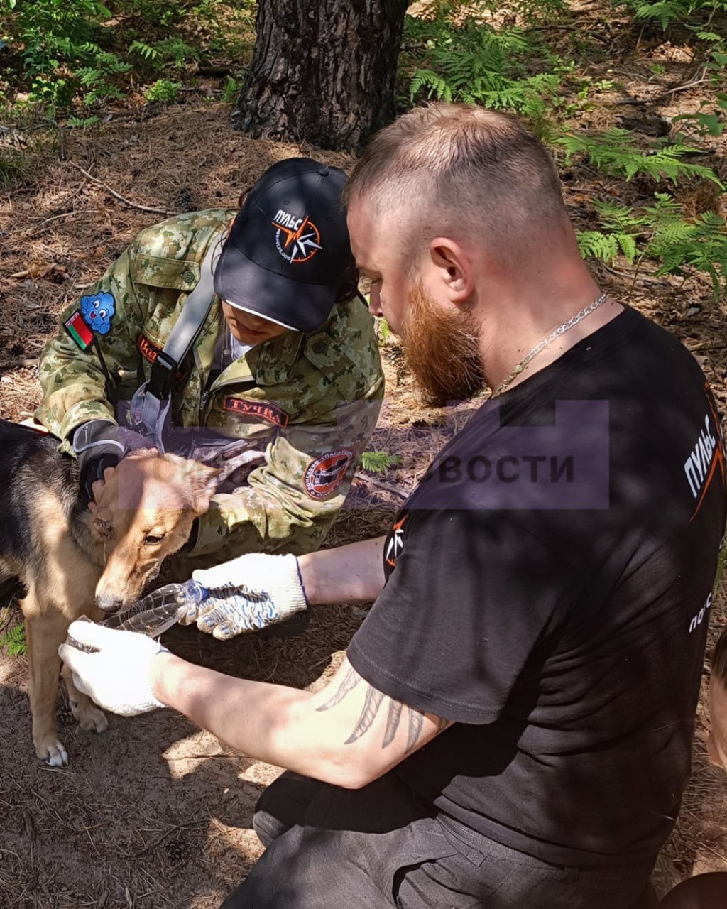 Спасатели сделали поилку для собаки 