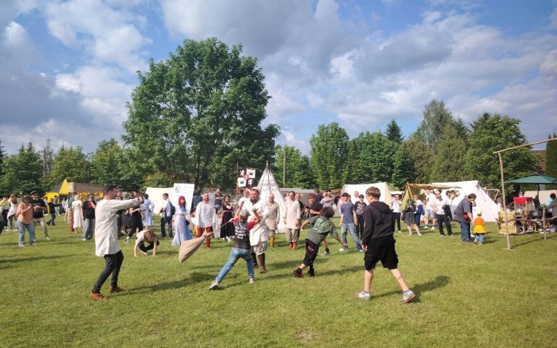 Развлечение на фестивале 