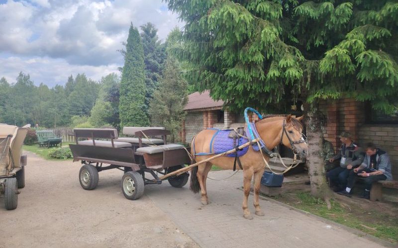 Повозка с лошадью