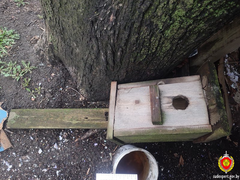 Скворечник на земле