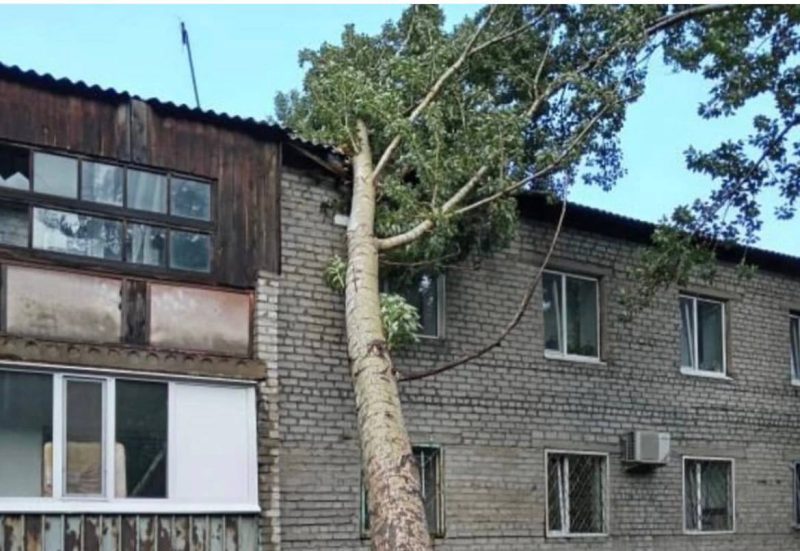 Дерево упало на дом