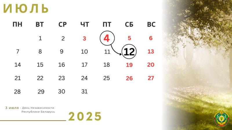 Июльские каникулы