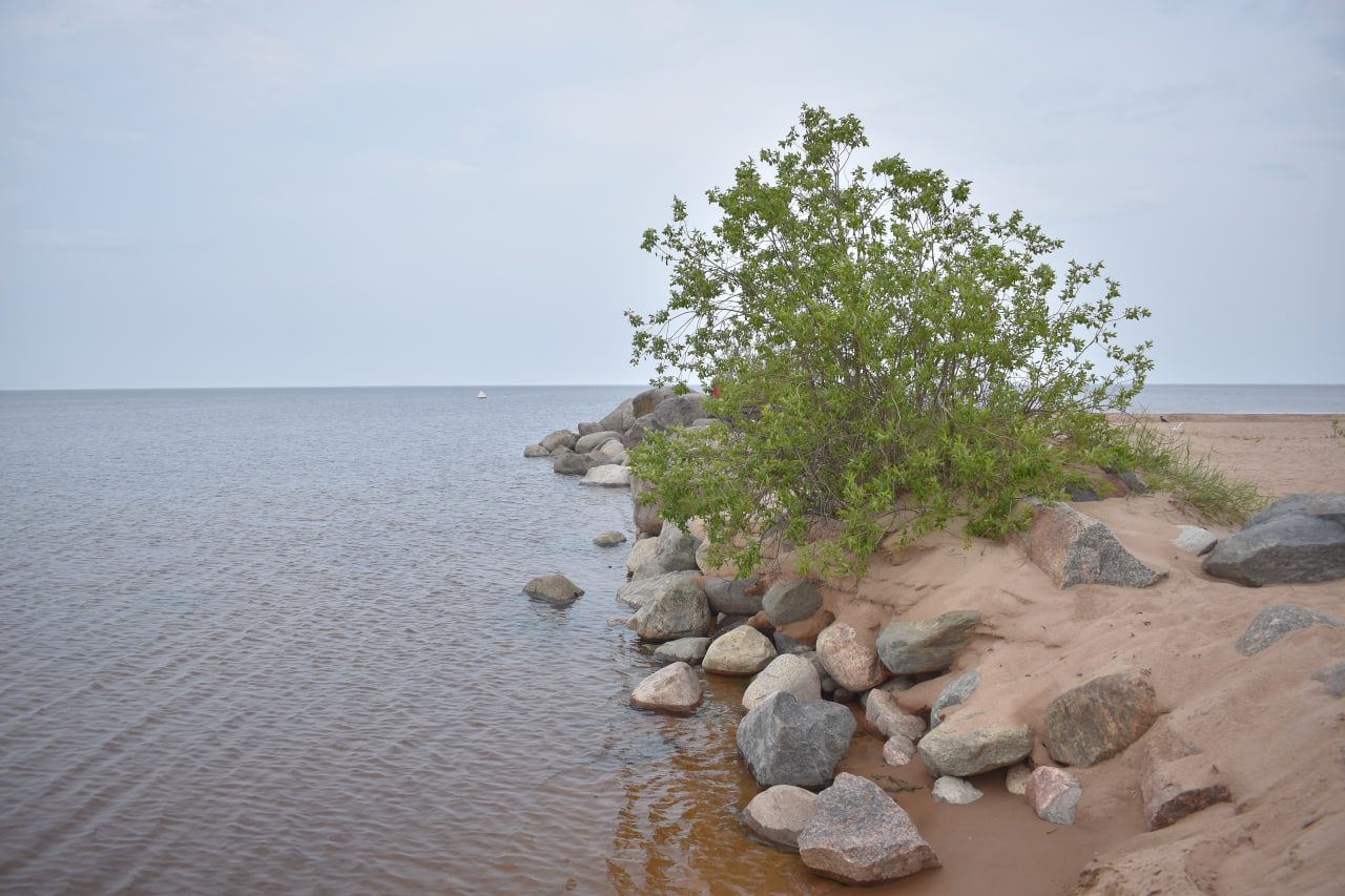 Ладожское озеро