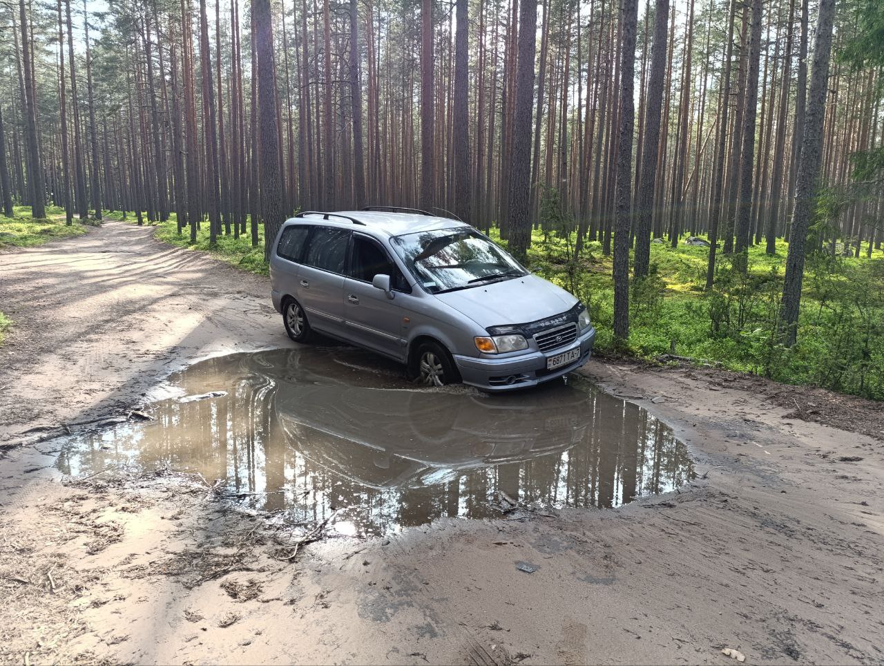 лужа лес дорога