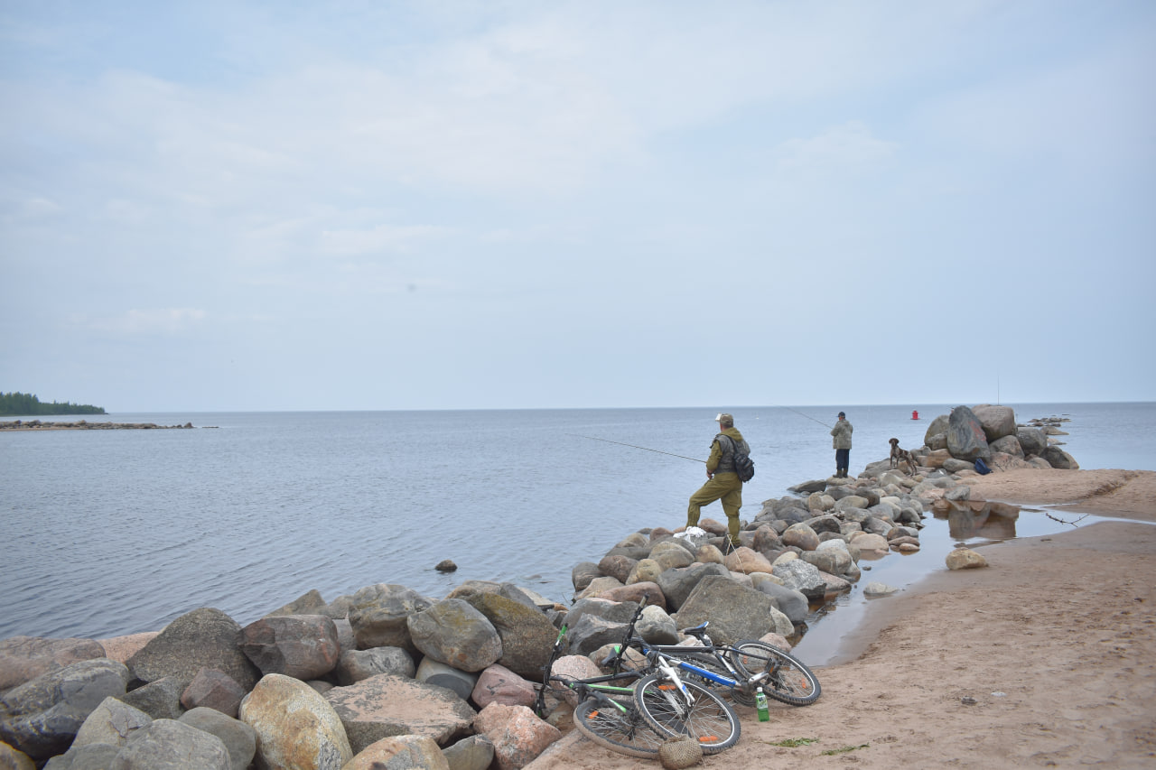 рыбалка Ладожское озеро