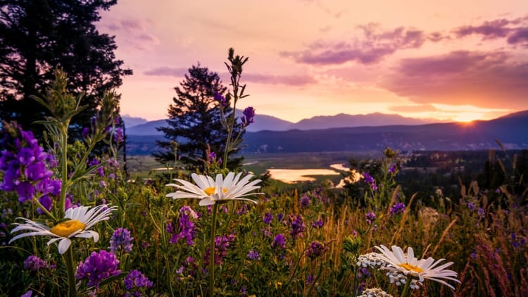 Летнее солнцестояние 2025