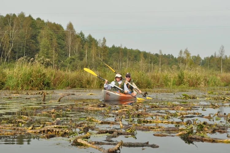 Топ-5 маршрутов для байдарочников
