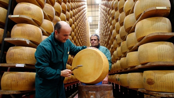 Слушают пармезан