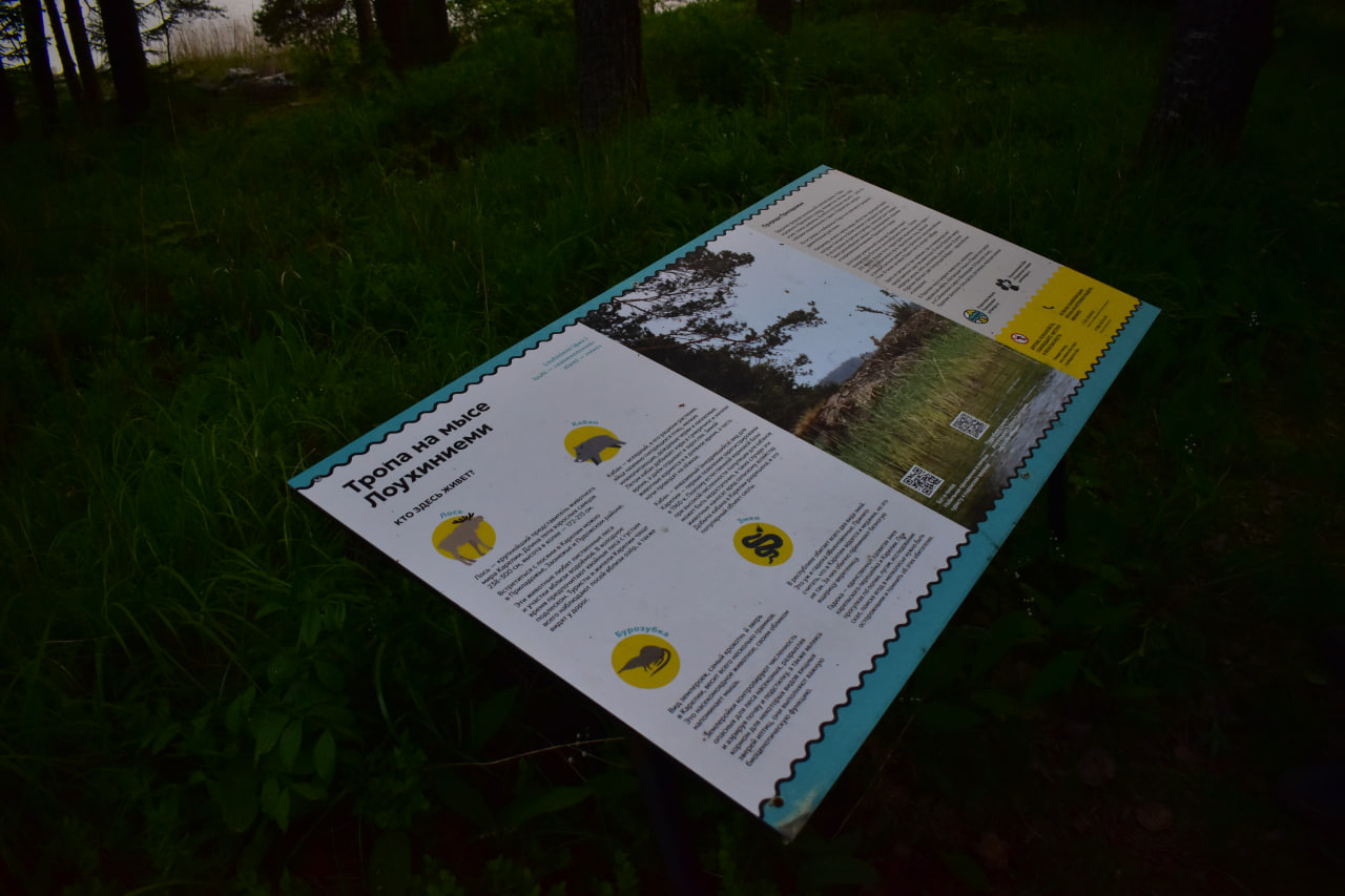 автокемпинг Приладожье экотропа