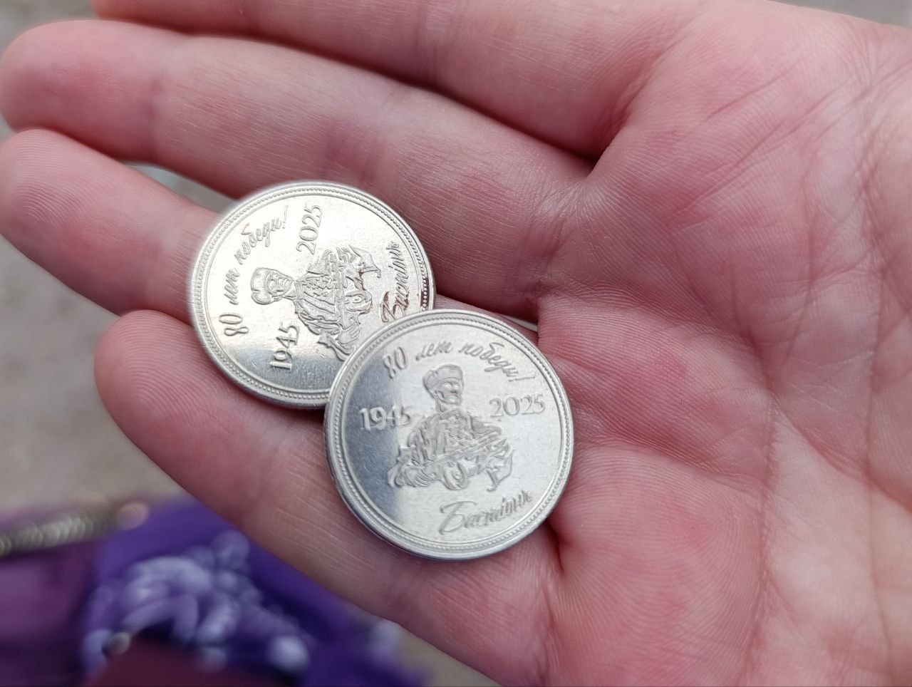 Сортавала викинги парк Бастион монеты