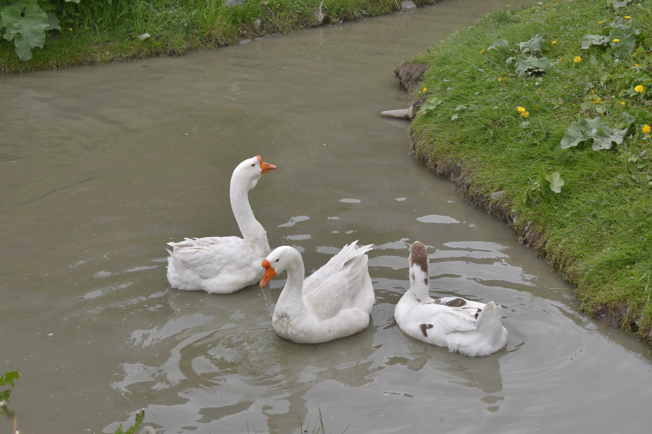 Сортавала викинги парк Бастион