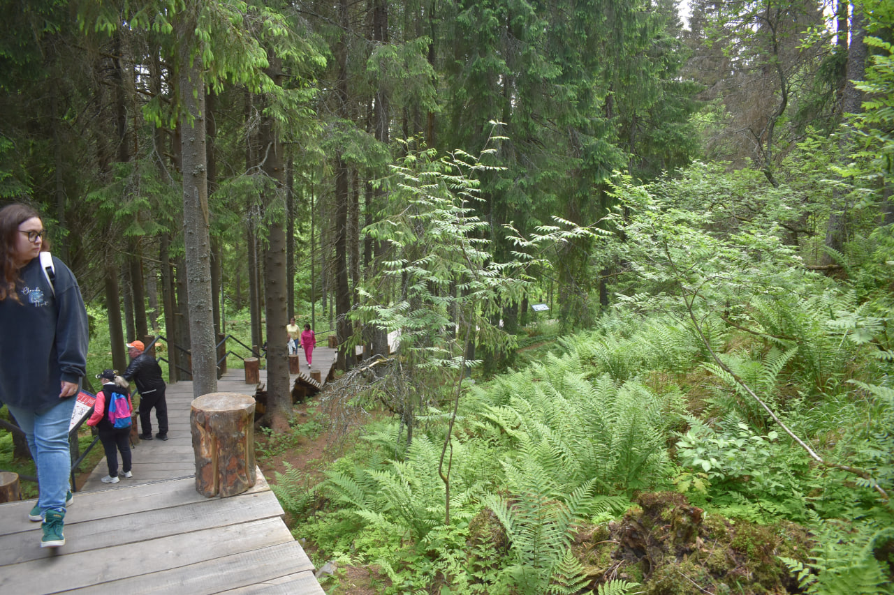 Сортавала гора Паасо