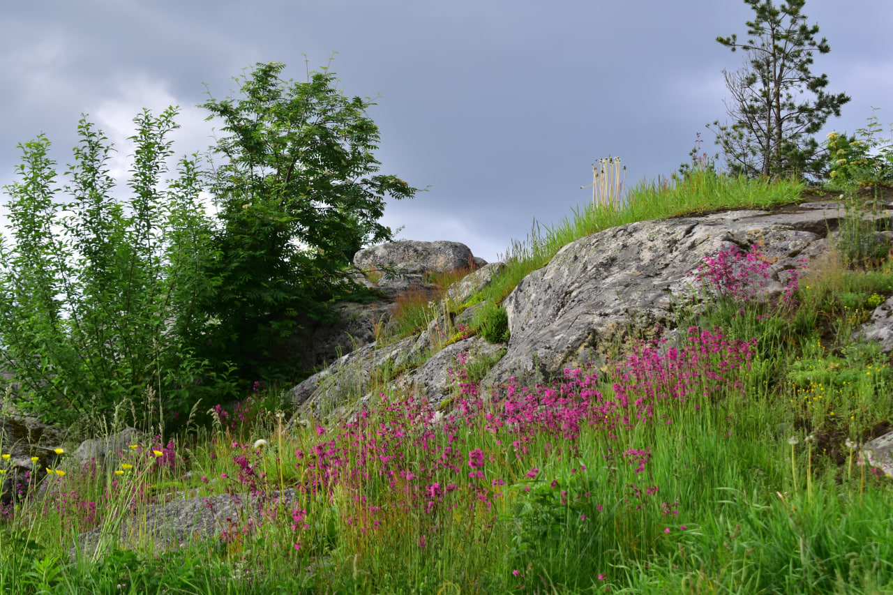 Сортавала гора Паасо
