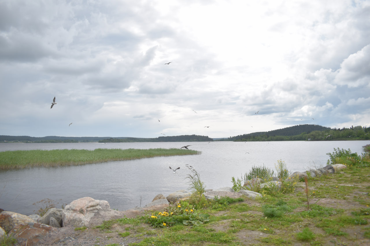 Сортавала Ладожское озеро