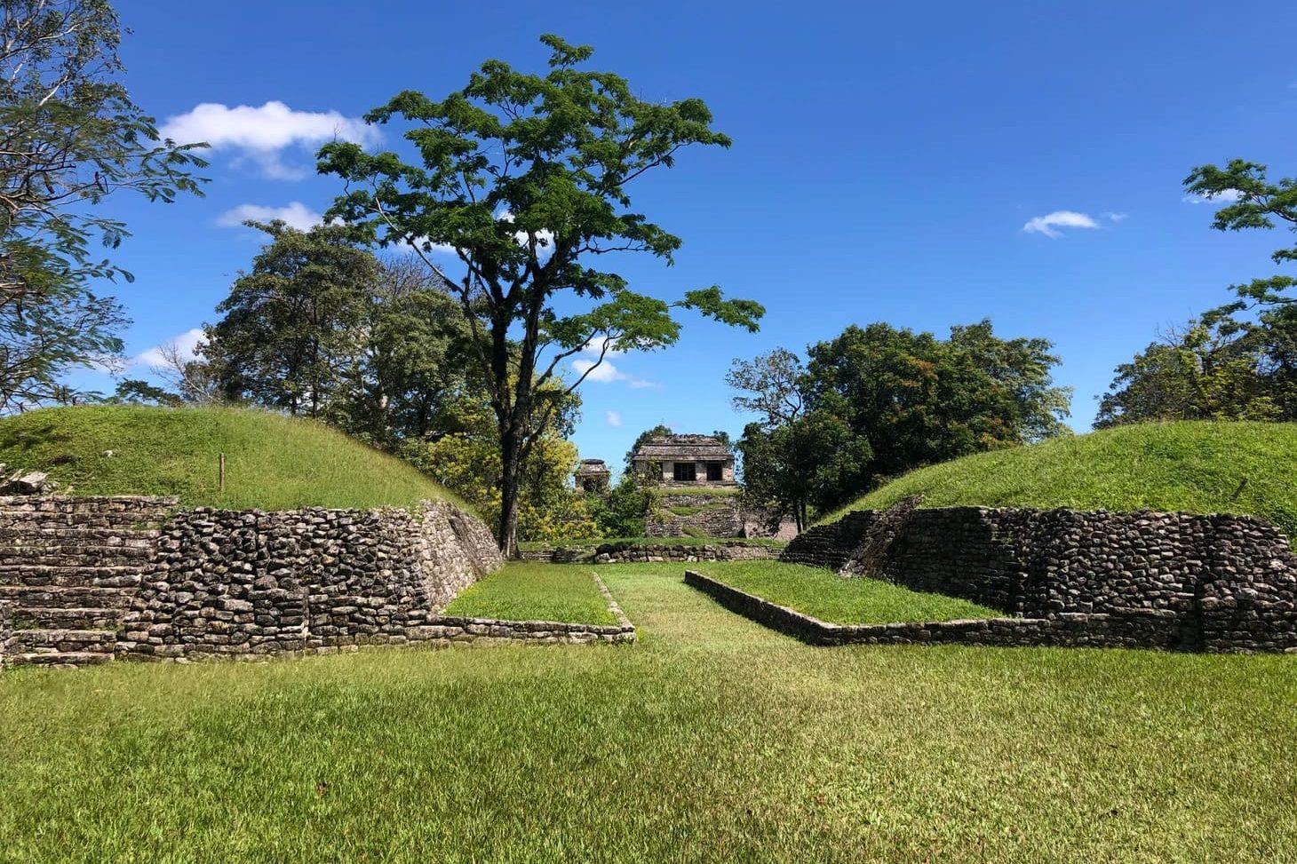 Стадион в Паленке