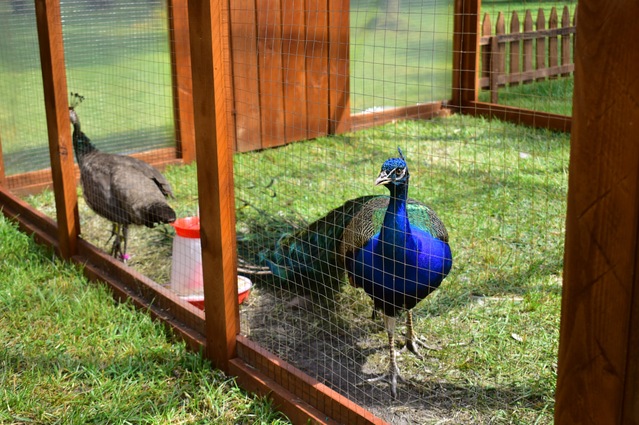 рок фестиваль «Солнцестояние»