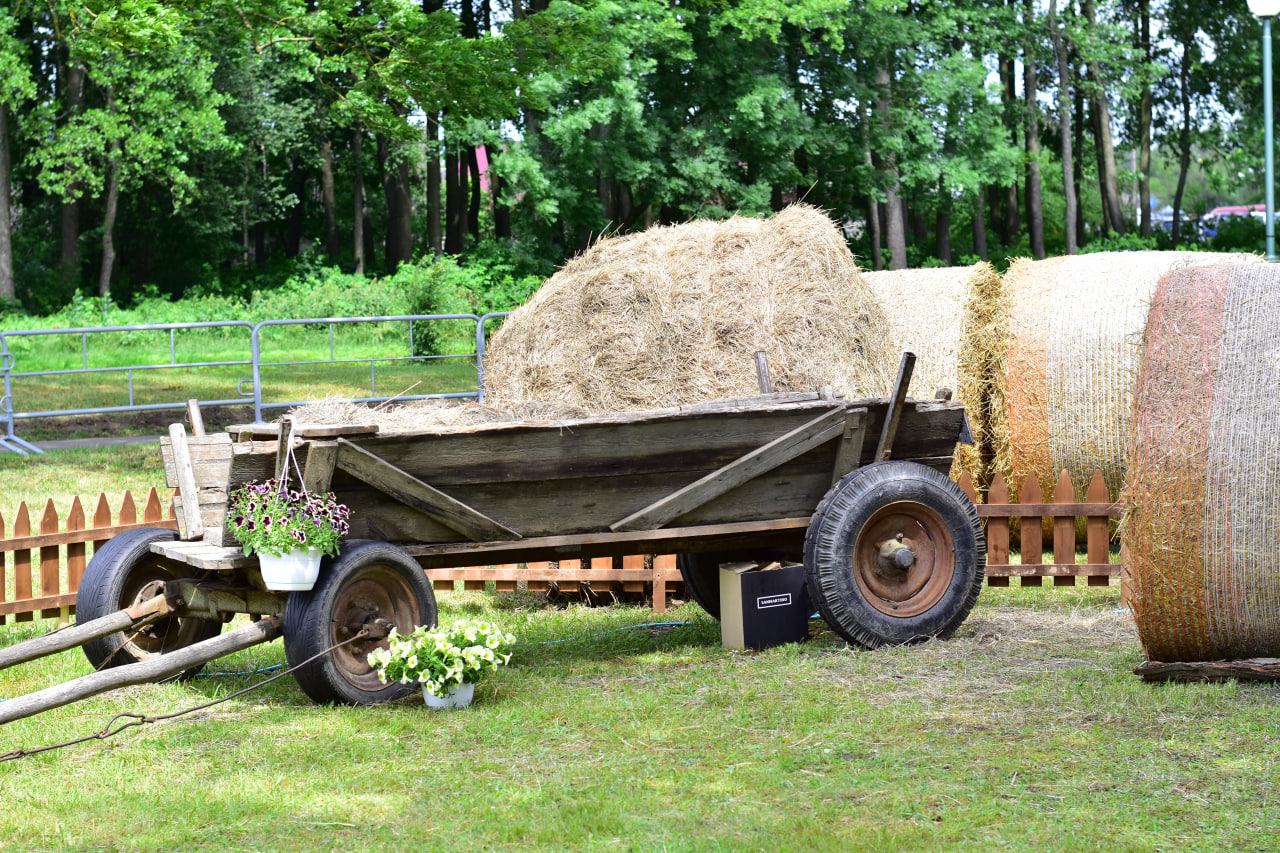 рок фестиваль «Солнцестояние»