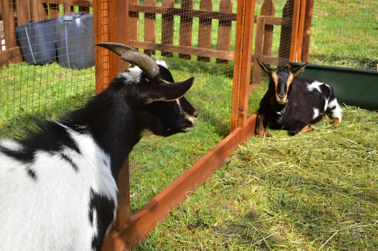 рок фестиваль «Солнцестояние»