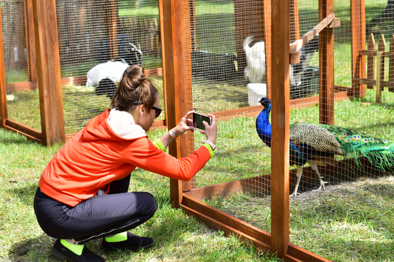 рок фестиваль «Солнцестояние»