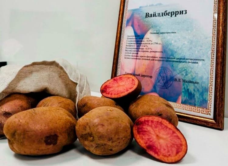 сорт "Вайлдберриз"