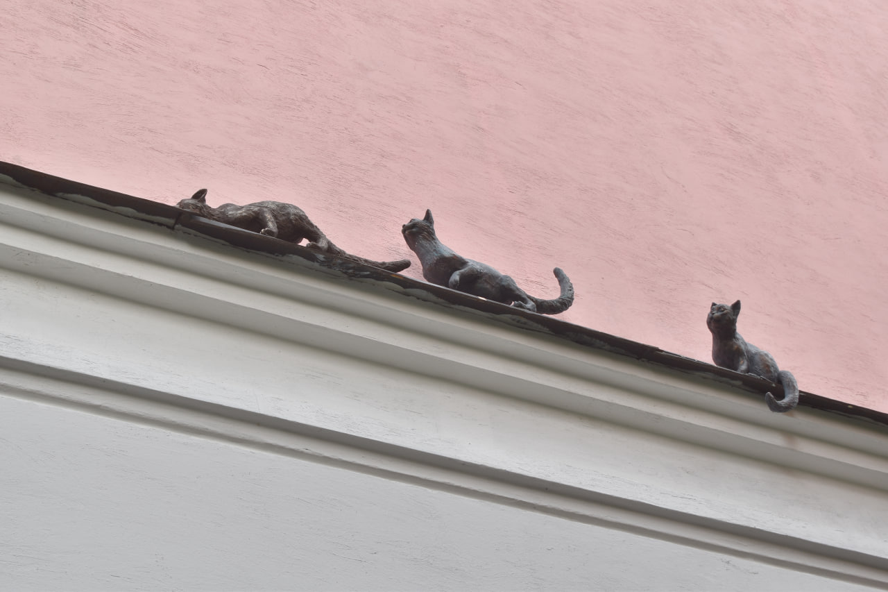 Великий Новгород 