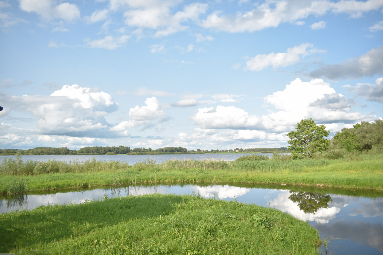 Витославицы