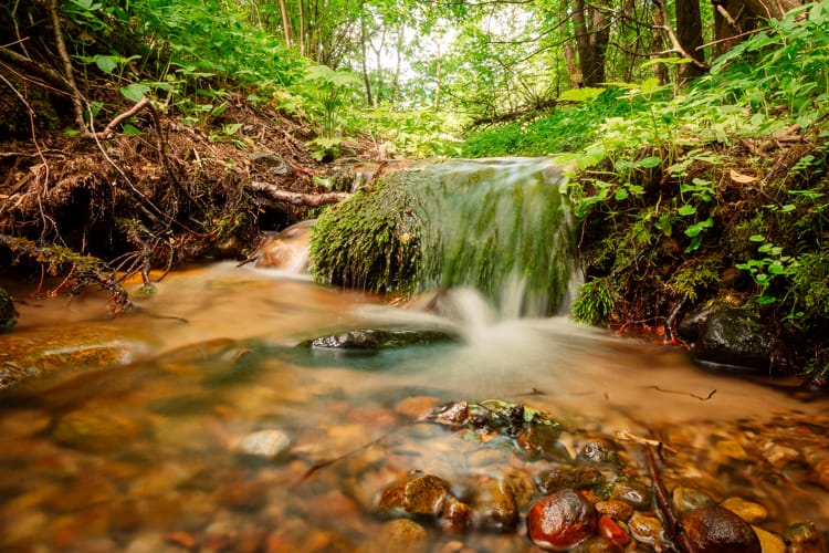 5 целебных родников