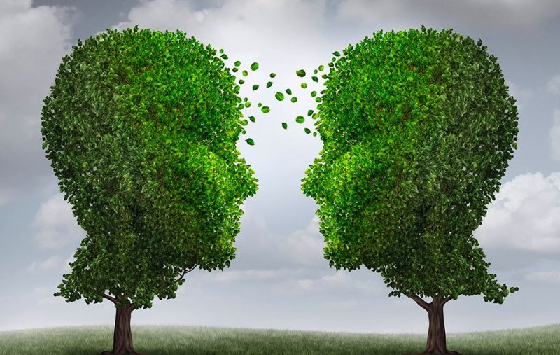 Растения разговаривают