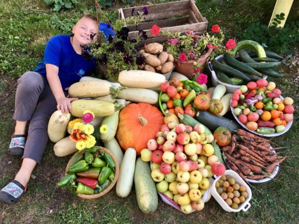 огород урожай